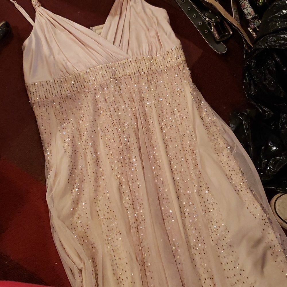 Bcbgmaxazria dress